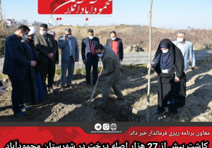 کاشت بیش از ۲۷ هزار اصله درخت در شهرستان محمودآباد