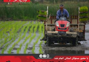 آئین نخستین نشاء مکانیزه برنج کشور در محمودآباد