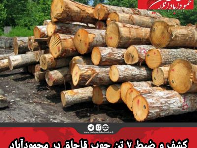کشف و ضبط ۷ تن چوب قاچاق در محمودآباد