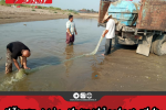 رهاسازی دو میلیون قطعه بچه ماهی سفید در محمودآباد