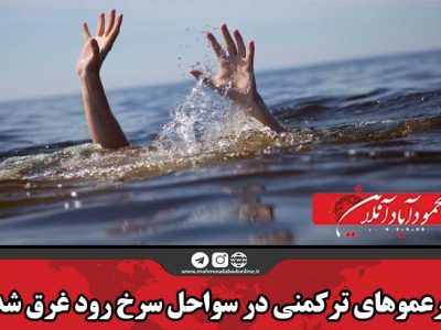 پسرعموهای ترکمنی در سواحل سرخ رود غرق شدند