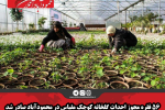 ۵۶ فقره مجوز احداث گلخانه کوچک مقیاس در محمودآباد صادر شد
