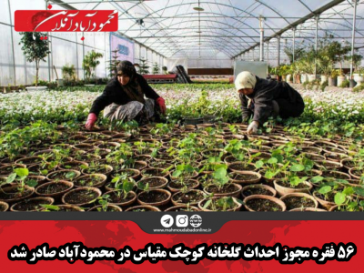 ۵۶ فقره مجوز احداث گلخانه کوچک مقیاس در محمودآباد صادر شد