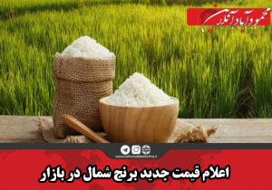 اعلام قیمت جدید برنج شمال در بازار