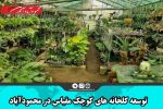 توسعه گلخانه‌های کوچک مقیاس در محمودآباد