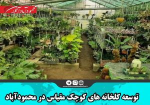 توسعه گلخانه‌های کوچک مقیاس در محمودآباد