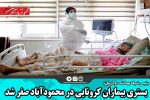 بستری بیماران کرونایی در محمودآباد صفر شد