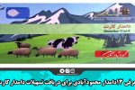 معرفی ۱۳ دامدار محمودآبادی برای دریافت تسهیلات دامدار کارت