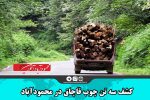 کشف سه تن چوب قاچاق در محمودآباد