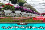 میزبانی محمودآباد از دهکده گلخانه ای گل و گیاه