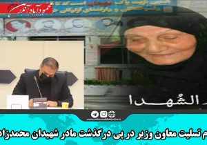 پیام تسلیت معاون وزیر میراث فرهنگی در پی درگذشت مادر ۳ شهید دفاع مقدس