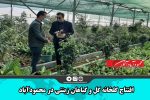 ‎افتتاح گلخانه گل و گیاهان زینتی در محمودآباد