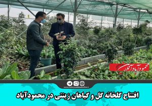 ‎افتتاح گلخانه گل و گیاهان زینتی در محمودآباد