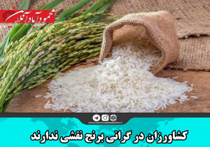 کشاورزان در گرانی برنج نقشی ندارند