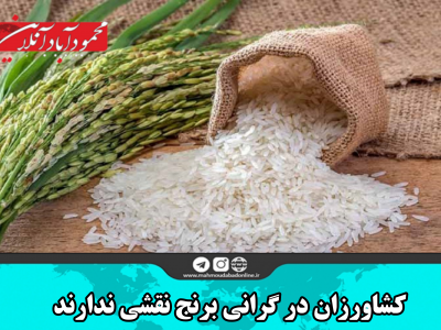 کشاورزان در گرانی برنج نقشی ندارند