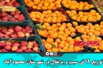 توزیع ۱۹ تن سیب و  پرتقال در شهرستان محمودآباد