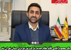 یک محمودآبادی قائم مقام جدید شرکت توزیع برق استان تهران شد