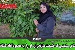 شاعر مشهدی که طبیعت مازندران او را به محمودآباد کشاند