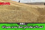 کشف ۴۸ تن نهاده دامی احتکار شده در محمودآباد