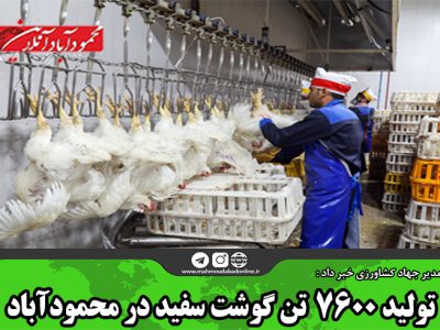 تولید ۷۶۰۰  تن گوشت سفید در محمودآباد