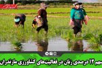 سهم ۱۲ درصدی زنان در فعالیت‌های کشاورزی مازندران