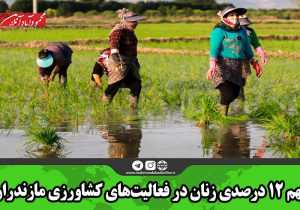 سهم ۱۲ درصدی زنان در فعالیت‌های کشاورزی مازندران