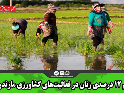 سهم ۱۲ درصدی زنان در فعالیت‌های کشاورزی مازندران