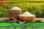 دغدغه فروش برنج کشاورزان با کشت قراردادی از بین می‌رود