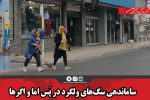 ساماندهی سگ‌های ولگرد در پَس اما و اگرها