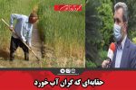 حقابه‌ای که گران آب خورد