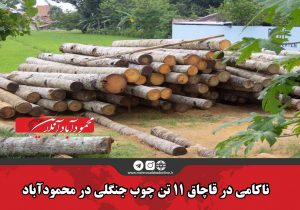 ناکامی در قاچاق ۱۱ تن چوب جنگلی در محمودآباد