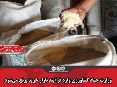 وزارت جهاد کشاورزی وارد فرآیند بازار خرید برنج می شود