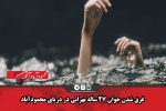 غرق شدن جوان ۲۷ ساله تهرانی در دریای محمودآباد