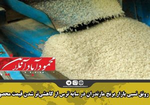 رونق نسبی بازار برنج مازندران در سایه ترس شالیکاران از کاهشی‌تر شدن قیمت محصول