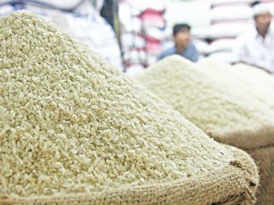 خریداری ۵۰ هزار تن برنج پرمحصول از کشاورزان