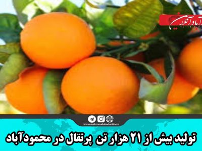 تولید بیش از ۲۱ هزار تن پرتقال در محمودآباد 
