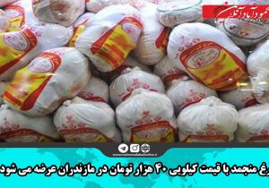 مرغ منجمد با قیمت کیلویی ۴۰ هزار تومان در مازندران عرضه می شود