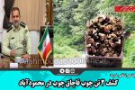 کشف ۲ تن چوب قاچاق چوب در محمودآباد