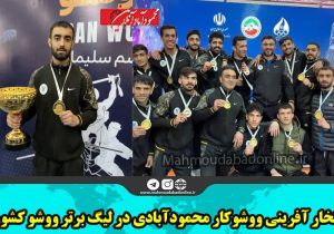 افتخار آفرینی ووشوکار محمودآبادی در لیگ برتر ووشو کشور