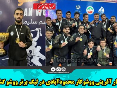 افتخار آفرینی ووشوکار محمودآبادی در لیگ برتر ووشو کشور
