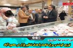 توزیع گوشت و مرغ منجمد با هدف تنظیم بازار در محمودآباد