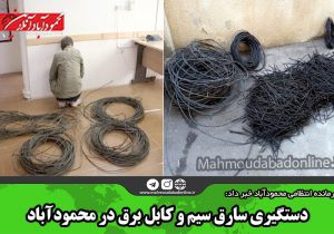 دستگیری سارق سیم و کابل برق در محمودآباد