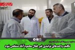 تکلیف واحدهای تولیدی غیر فعال محمودآباد مشخص شود