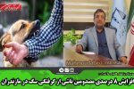 افزایش ۸ درصدی مصدومین ناشی از گرفتگی سگ در مازندران