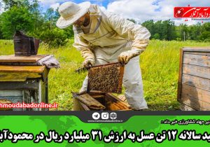 تولید سالانه ۱۲ تن عسل به ارزش ۳۱ میلیارد ریال در محمودآباد