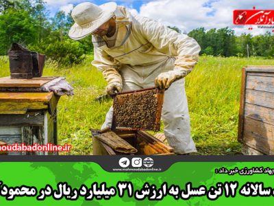 تولید سالانه ۱۲ تن عسل به ارزش ۳۱ میلیارد ریال در محمودآباد