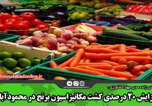 رویکرد جهاد کشاورزی تولید محصول سالم و ارگانیک است
