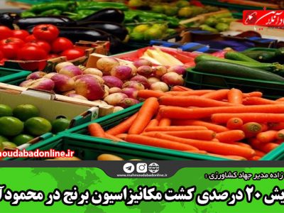 رویکرد جهاد کشاورزی تولید محصول سالم و ارگانیک است