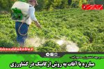 مبارزه با آفات به روش ارگانیک در کشاورزی