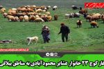 آغاز کوچ ۲۳ خانوار عشایر محمودآبادی به مناطق ییلاقی